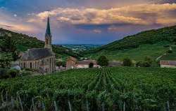 The guests may tour the Chateau's 12 000 bottle ce The guests may tour the Chateau's 12 000 bottle cellar and sample the fine wines. Loire Valley has a fine variety of wines and an abundance of fruit o